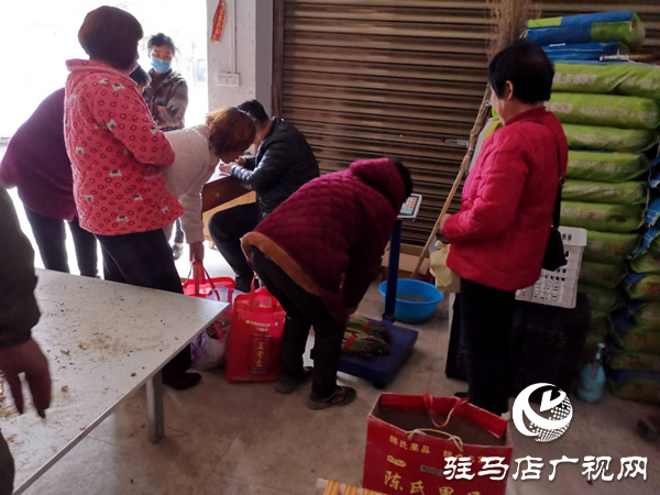 上蔡縣小岳寺鄉(xiāng)多方扶貧伸援手 蘆筍滯銷變直銷