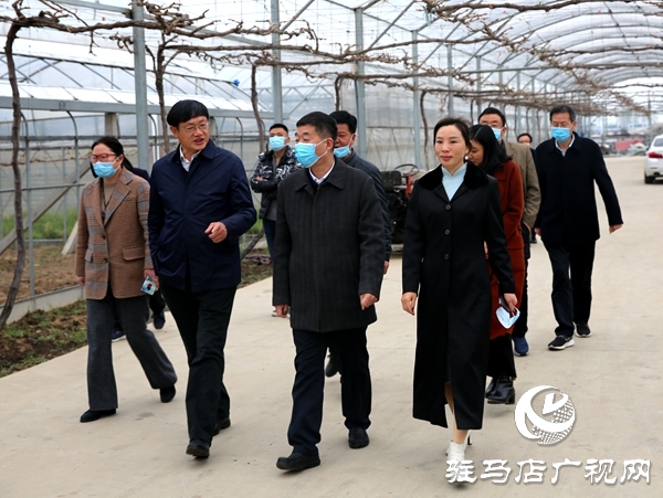 副市長劉曉文到遂平縣調(diào)研農(nóng)產(chǎn)品生產(chǎn)運營情況