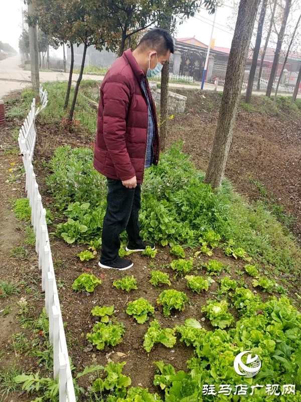 汝南縣老君廟鎮(zhèn)多舉措加強(qiáng)春季禁種鏟毒