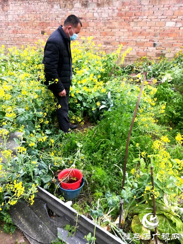 汝南縣老君廟鎮(zhèn)多舉措加強(qiáng)春季禁種鏟毒