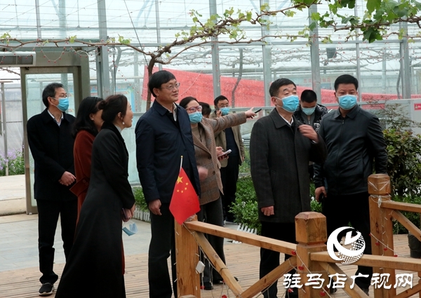 副市長劉曉文到遂平縣調(diào)研農(nóng)產(chǎn)品生產(chǎn)運營情況