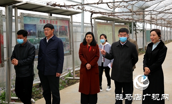 副市長劉曉文到遂平縣調(diào)研農(nóng)產(chǎn)品生產(chǎn)運營情況