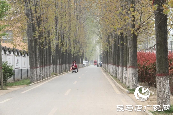 上蔡縣栗莊村:群眾眼中的“明星村”