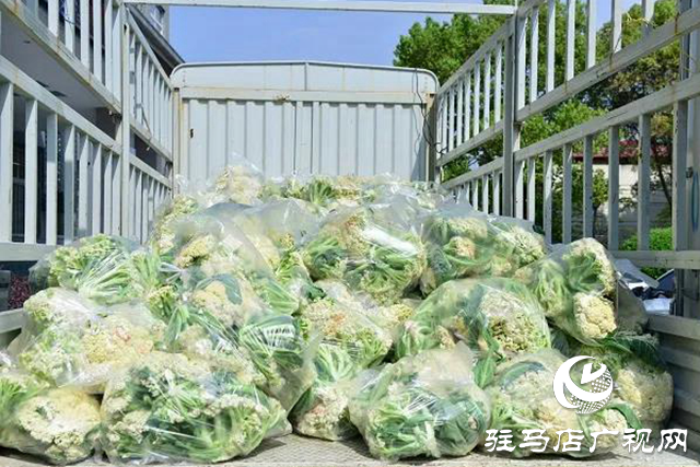 上蔡縣：文明單位伸援手，以購(gòu)代捐解民憂(yōu)