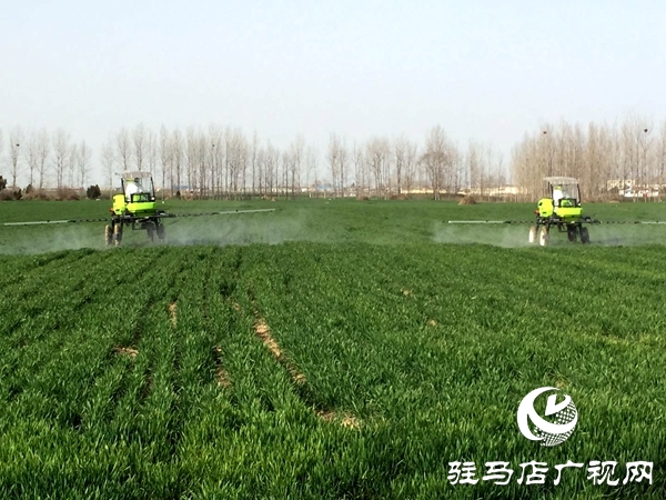 黎文昌:疫情下“希望”的傳播者