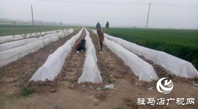 張現(xiàn)超:致富多面手 脫貧帶頭人