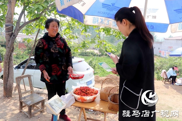 泌陽: 櫻桃富民靚鄉(xiāng)村