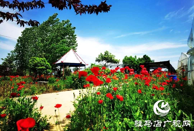 余長旺:下崗再創(chuàng)業(yè),成就人生夢