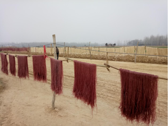 泌陽(yáng)縣郭集鎮(zhèn)丁莊村第一書記為“三粉”產(chǎn)品代言