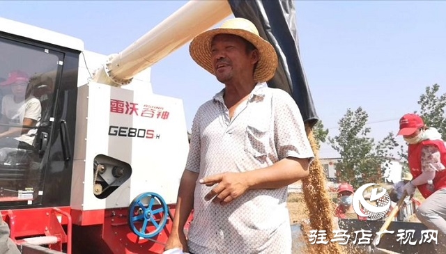 天福、新地花生集團(tuán)助農(nóng)收麥忙 三夏時(shí)節(jié)確保顆粒歸倉