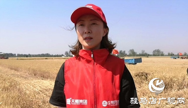 天福、新地花生集團(tuán)助農(nóng)收麥忙 三夏時(shí)節(jié)確保顆粒歸倉