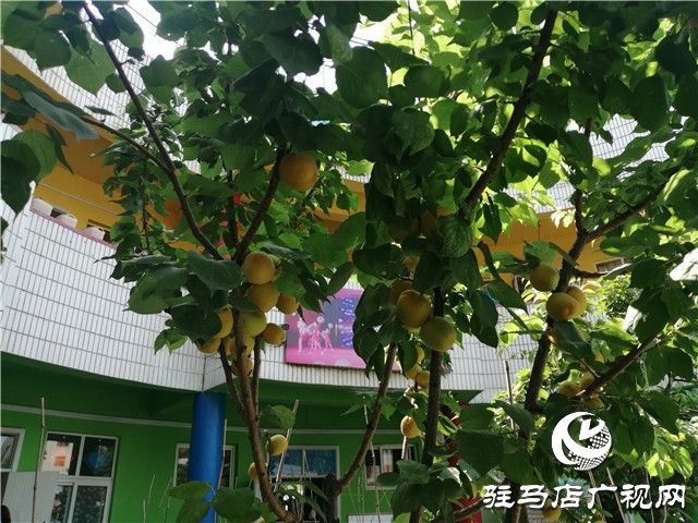 迎接&ldquo;小神獸&rdquo;返校