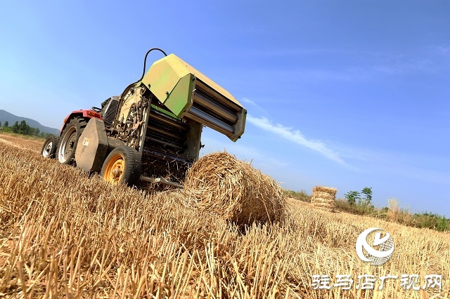 駐馬店驛城區(qū)：推進秸稈回收變廢為寶