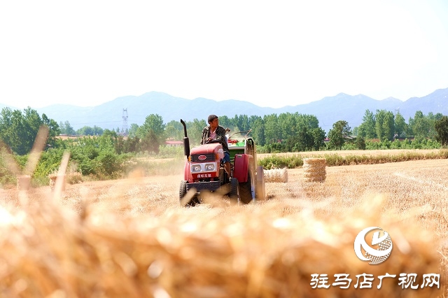 駐馬店驛城區(qū)：推進秸稈回收變廢為寶
