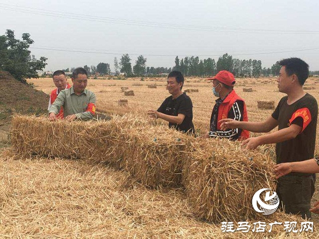 正陽縣蘭青鄉(xiāng)：禁燒&ldquo;戰(zhàn)場(chǎng)&rdquo;，黨員在前