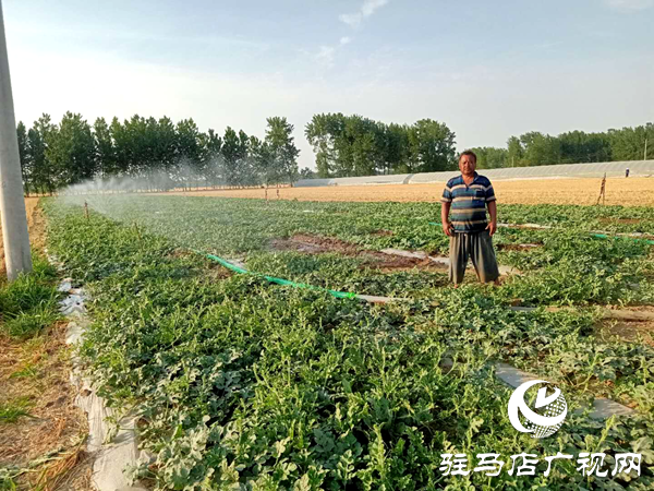 平輿縣玉皇廟鄉(xiāng):掀起抗旱保秋新高潮