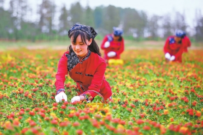 河南省支持大別山革命老區(qū)加快振興發(fā)展 繪就“紅綠金”藍(lán)圖