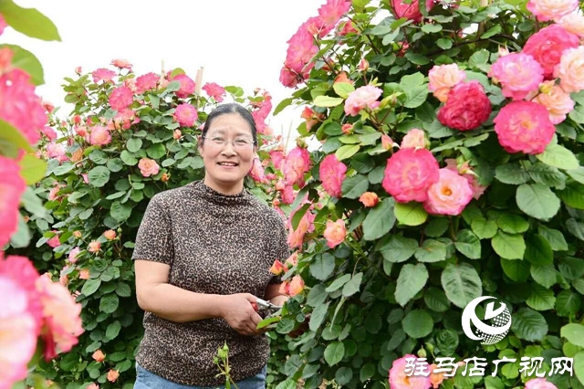 泌陽(yáng)李春陽(yáng):新時(shí)代踐行綠色發(fā)展思想的巾幗標(biāo)兵