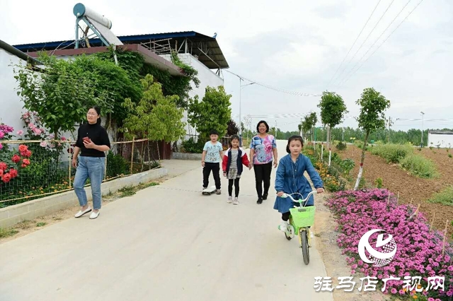 泌陽(yáng)李春陽(yáng):新時(shí)代踐行綠色發(fā)展思想的巾幗標(biāo)兵