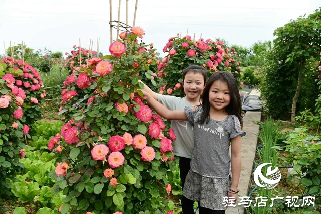 泌陽(yáng)李春陽(yáng):新時(shí)代踐行綠色發(fā)展思想的巾幗標(biāo)兵