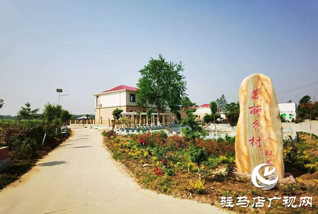 泌陽(yáng)李春陽(yáng):新時(shí)代踐行綠色發(fā)展思想的巾幗標(biāo)兵