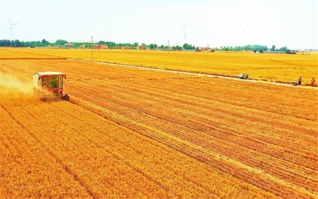 河南:中原糧倉(cāng)的“豐收答卷”