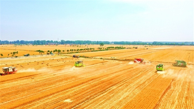 河南:中原糧倉(cāng)的“豐收答卷”