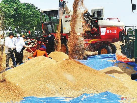 守為民惠民之正 創(chuàng)明德立德之新——駐馬店入選全國(guó)城市傳播百?gòu)?qiáng)榜彰顯熱度與魅力