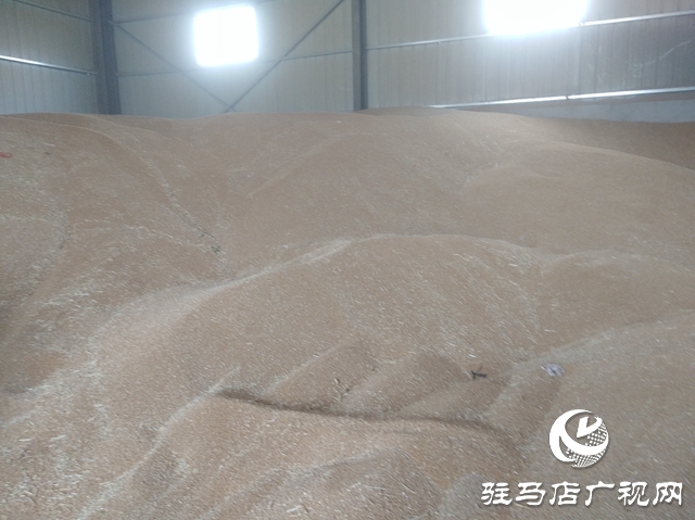 正陽縣:農(nóng)民賣糧“足不出戶”