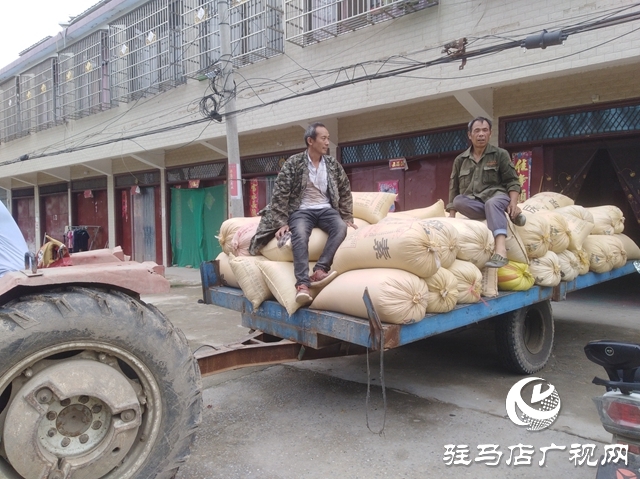 正陽縣:農(nóng)民賣糧“足不出戶”