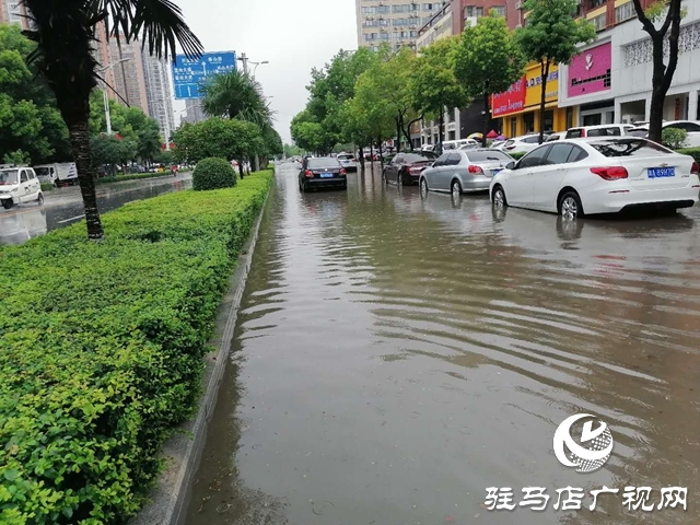 遇到積水路面如何開車？