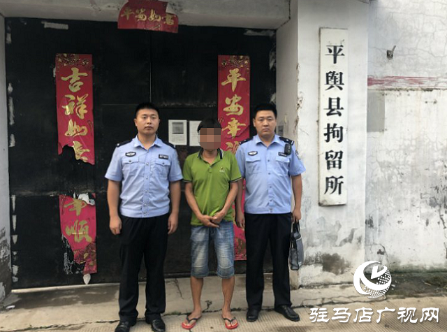 警示！平輿縣一男子酒后惡意撥打110辱罵接警人員被拘留