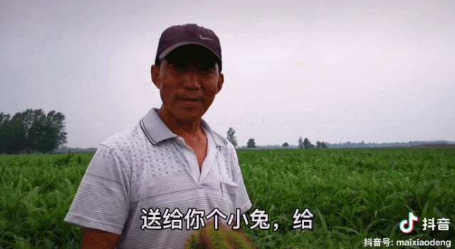 回村照顧病重父親，&ldquo;河南李子柒&rdquo;記錄日常意外走紅，200萬(wàn)粉絲坐等更新 | 成風(fēng)化人