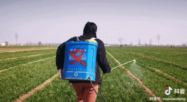 回村照顧病重父親，&ldquo;河南李子柒&rdquo;記錄日常意外走紅，200萬(wàn)粉絲坐等更新 | 成風(fēng)化人