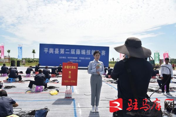 央視大型融媒體行動(dòng)《走村直播看脫貧》走進(jìn)平輿縣