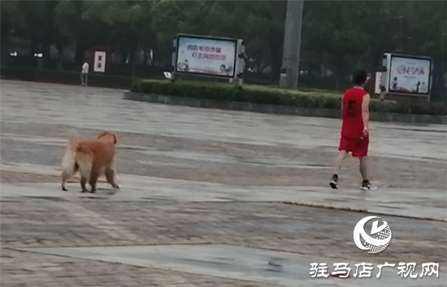 駐馬店:初秋天微涼 晨練正當時