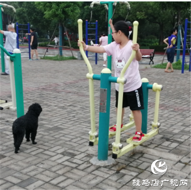 駐馬店:初秋天微涼 晨練正當時