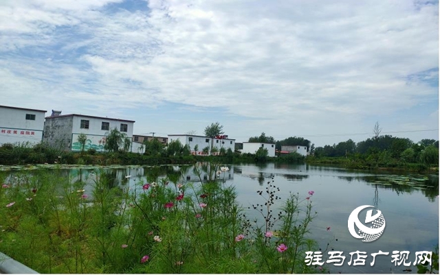 平輿:農(nóng)村換新顏 百姓樂開懷