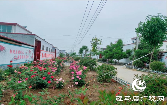 平輿:農(nóng)村換新顏 百姓樂開懷