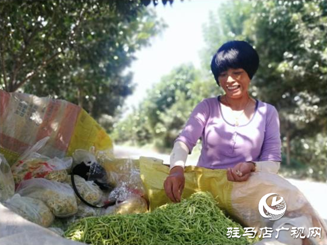 西平縣五溝營鎮(zhèn)：金銀花種植助推脫貧攻堅