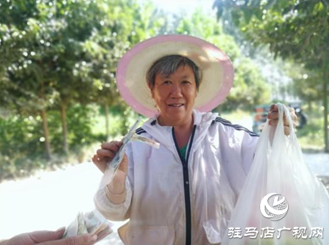 西平縣五溝營鎮(zhèn)：金銀花種植助推脫貧攻堅