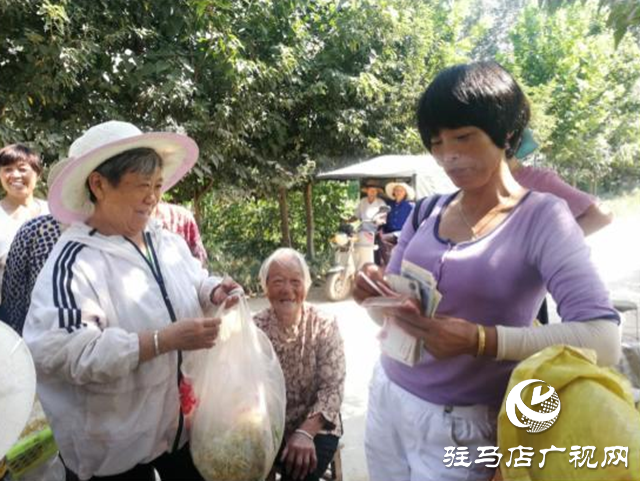 西平縣五溝營鎮(zhèn)：金銀花種植助推脫貧攻堅