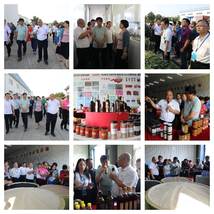 河南省雜文名家“聚焦平輿白芝麻產(chǎn)業(yè)發(fā)展”采風活動啟動暨藍天芝麻小鎮(zhèn)采風基地揭牌儀式舉行