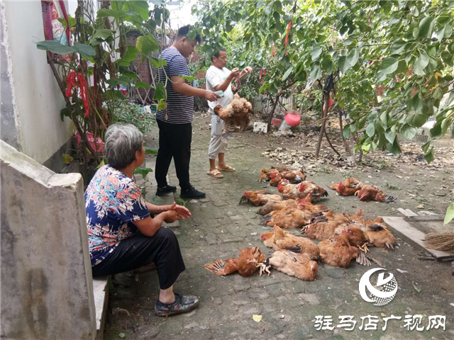 平輿縣玉皇廟鄉(xiāng)：消費扶貧月、群眾喜慶季