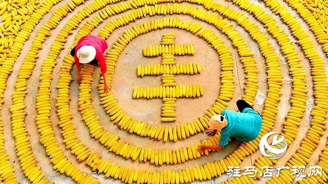 快樂之旅，豐收之行！嵖岈山秋趣豐收歡樂季即將盛大開啟！