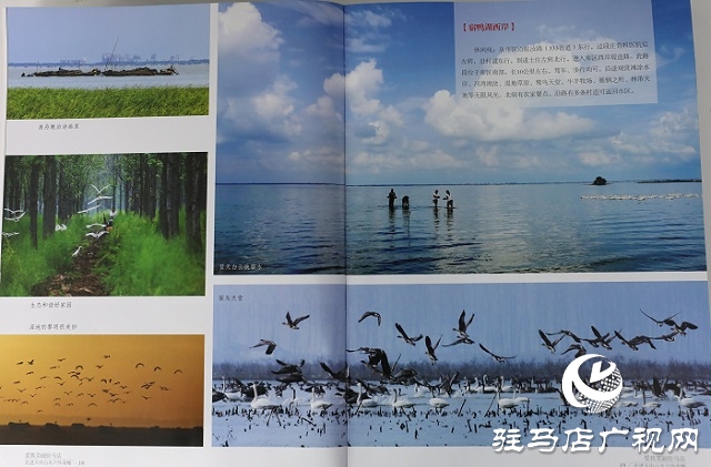 意外墜崖，資深影人葉辛卯魂歸銅山！