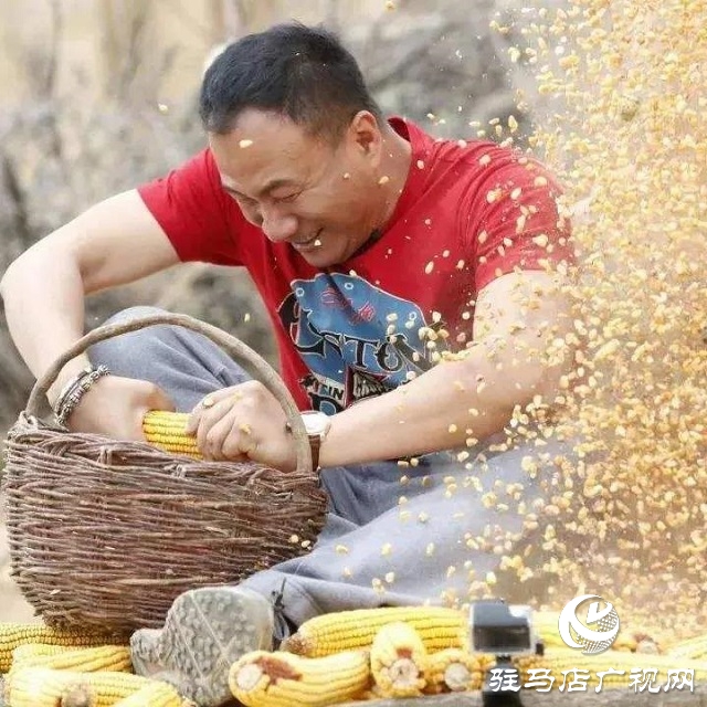 快樂之旅，豐收之行！嵖岈山秋趣豐收歡樂季即將盛大開啟！