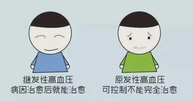 高血壓原發(fā)性、繼發(fā)性？精準(zhǔn)治療，拒絕傻傻分不清！