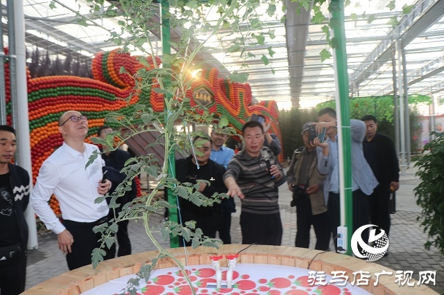 “豐收杯”秋韻天中2020全國攝影大賽啟動