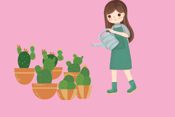 為什么仙人掌不怕干旱？